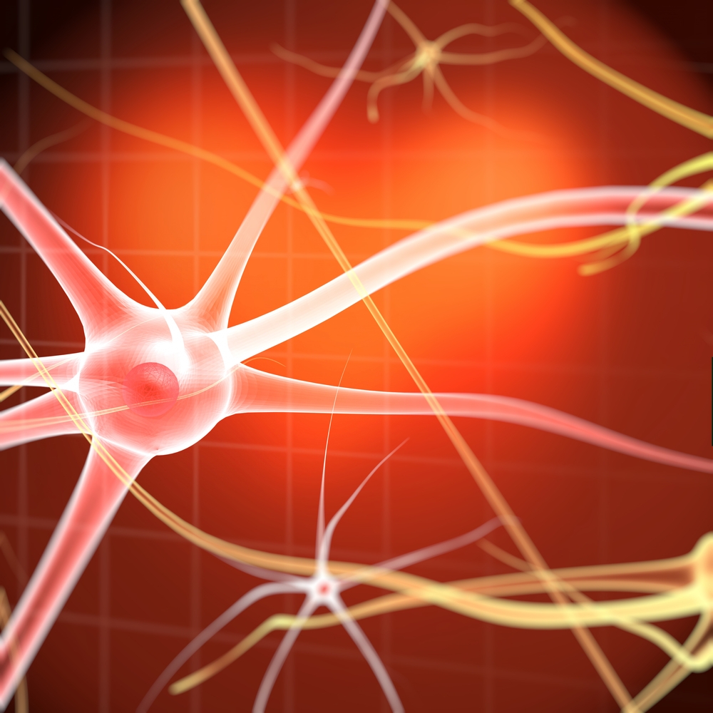 Nerve cells