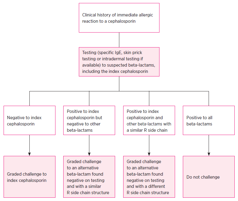 Cephalosporin Chart