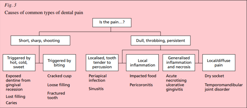 During Routine Charting Of A Patient The Dentist Indicates