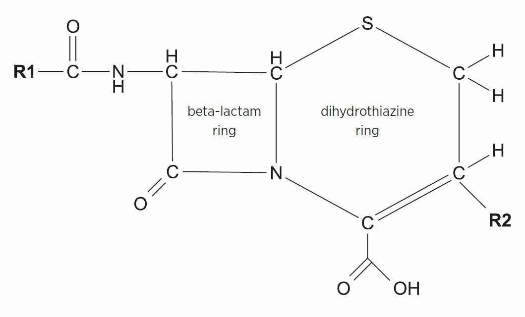 Cephalosporin Side Chain Chart