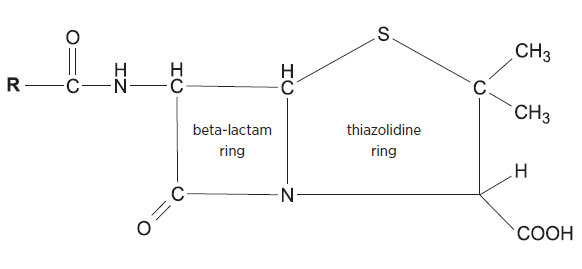 General structure of penicillins, showing the four-atom beta-lactam ring linked to a five-member thiazolidine ring