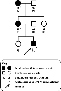 DNA i. approach and techniques