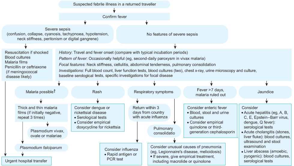 Evaluation and initial management of fever in a returned traveller