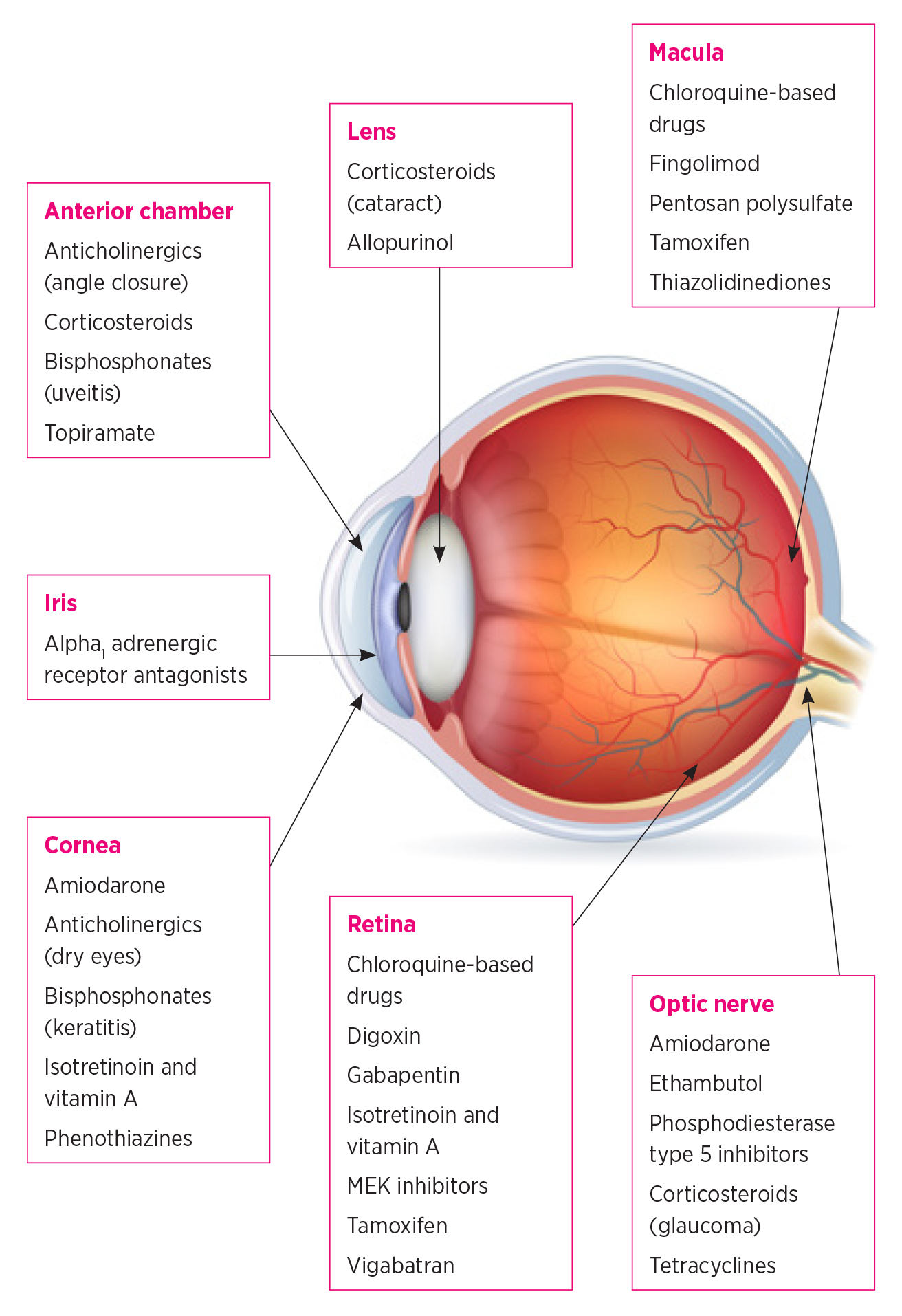 The ocular adverse effects of oral drugs