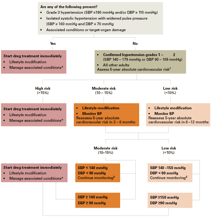 When to start drug treatment for hypertension