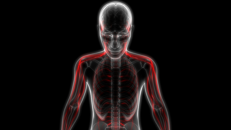 IS IT NERVE PAIN OR MUSCLE PAIN?