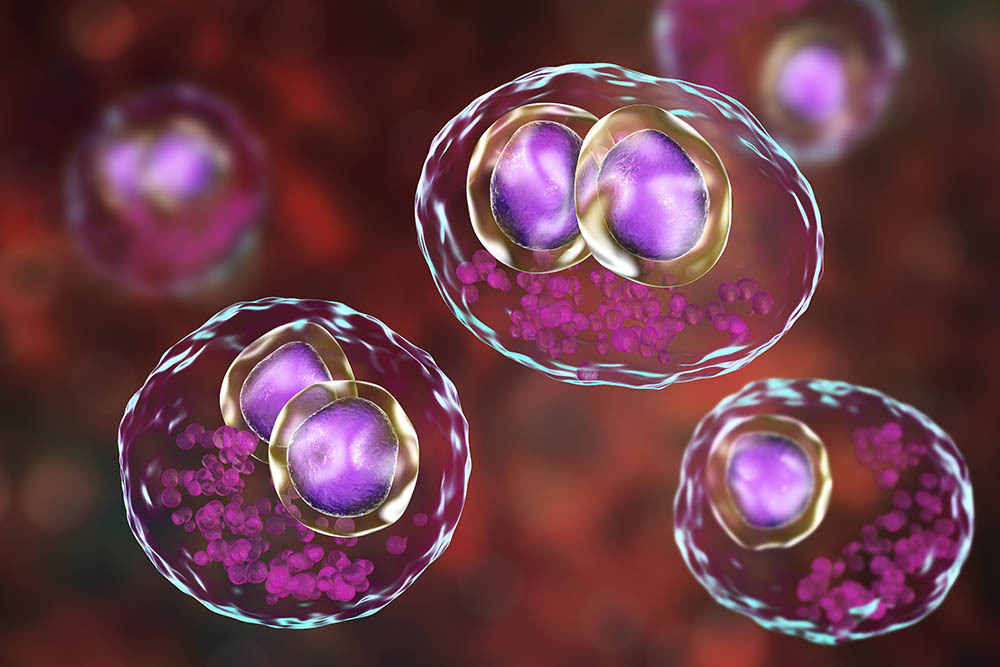 Letermovir For Cytomegalovirus Prophylaxis Australian Prescriber Letermovir For Cytomegalovirus Prophylaxis Australian Prescriber