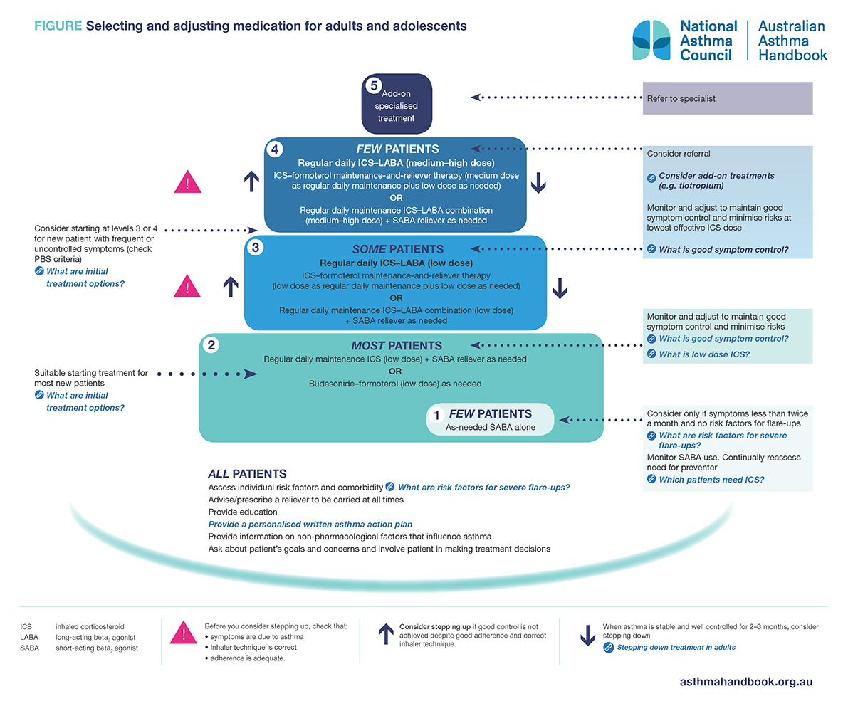 Hi resolution document for Figure_Selecting-and-adjusting-medication-for-adults-and-adolescents_web