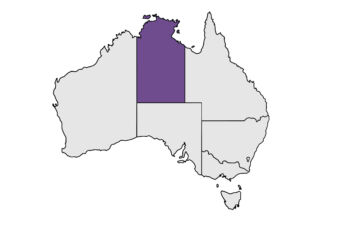 States-NT-Dreamtime-Creative