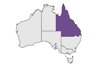 States-QLD-Dreamtime-Creative
