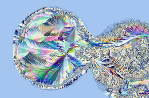 Rates of paracetamol overdose continue to rise in Australia