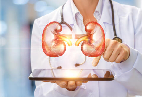 How do I know if my kidneys are healthy and why is it important?