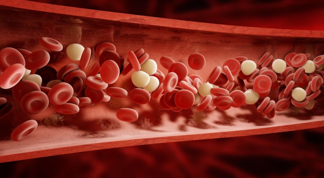 Anticoagulants - NPS MedicineWise