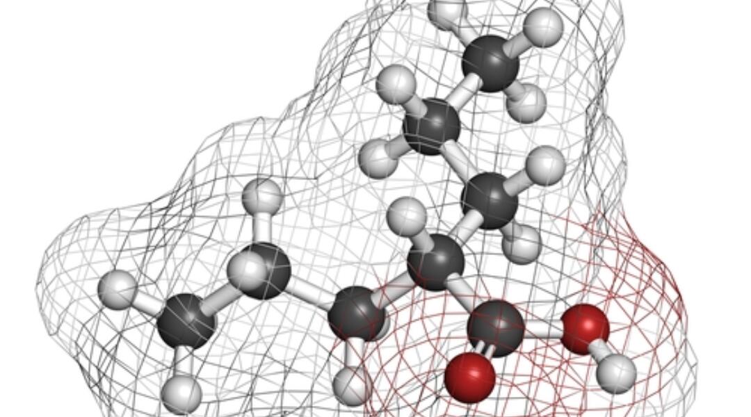 Safe use of sodium valproate