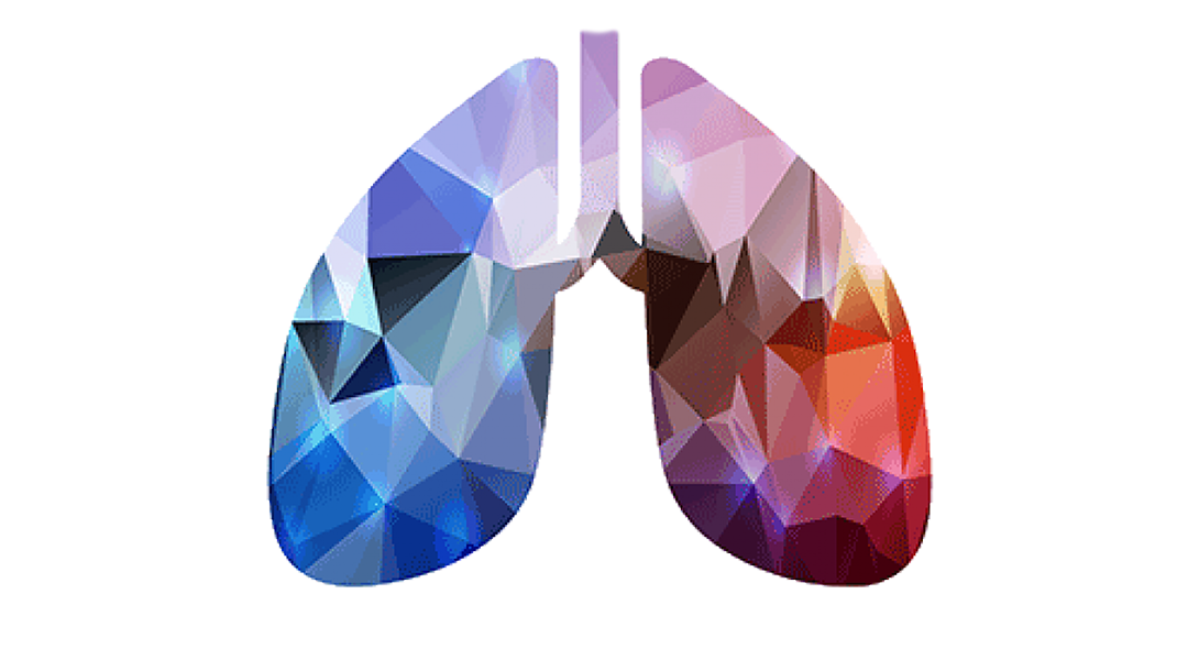 Lungs