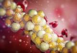 lipids