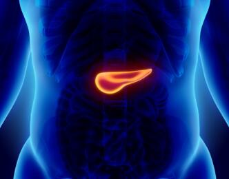 Lifestyle and metformin decision aid