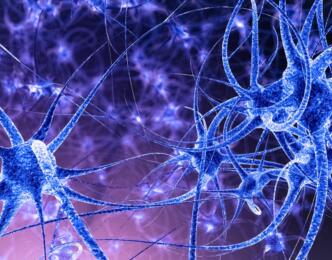 Patient action plan: Helping patients live with neuropathic pain