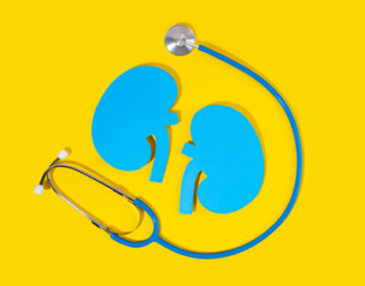 CKD – Integrating kidney health into patient care