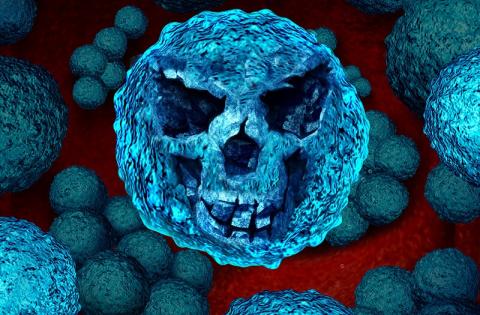 Hand sanitisers: hygiene in a bottle