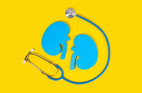 CKD – Integrating kidney health into patient care