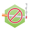 Stop smoking icon (small)