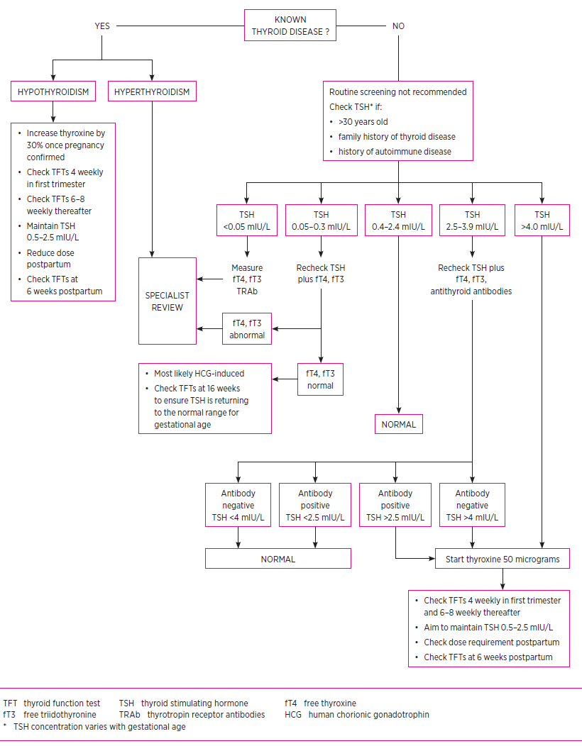 Tft Algorithm Chart