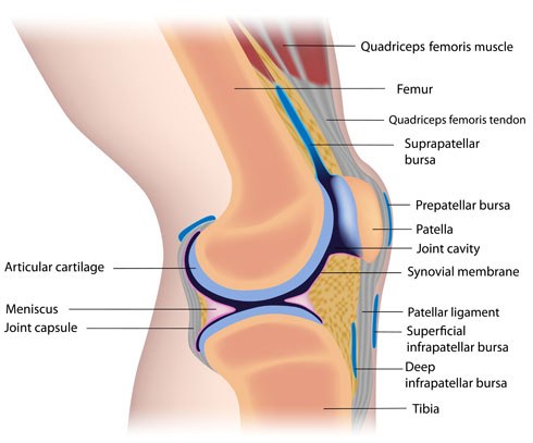 Knee Injury Diagnosis Chart