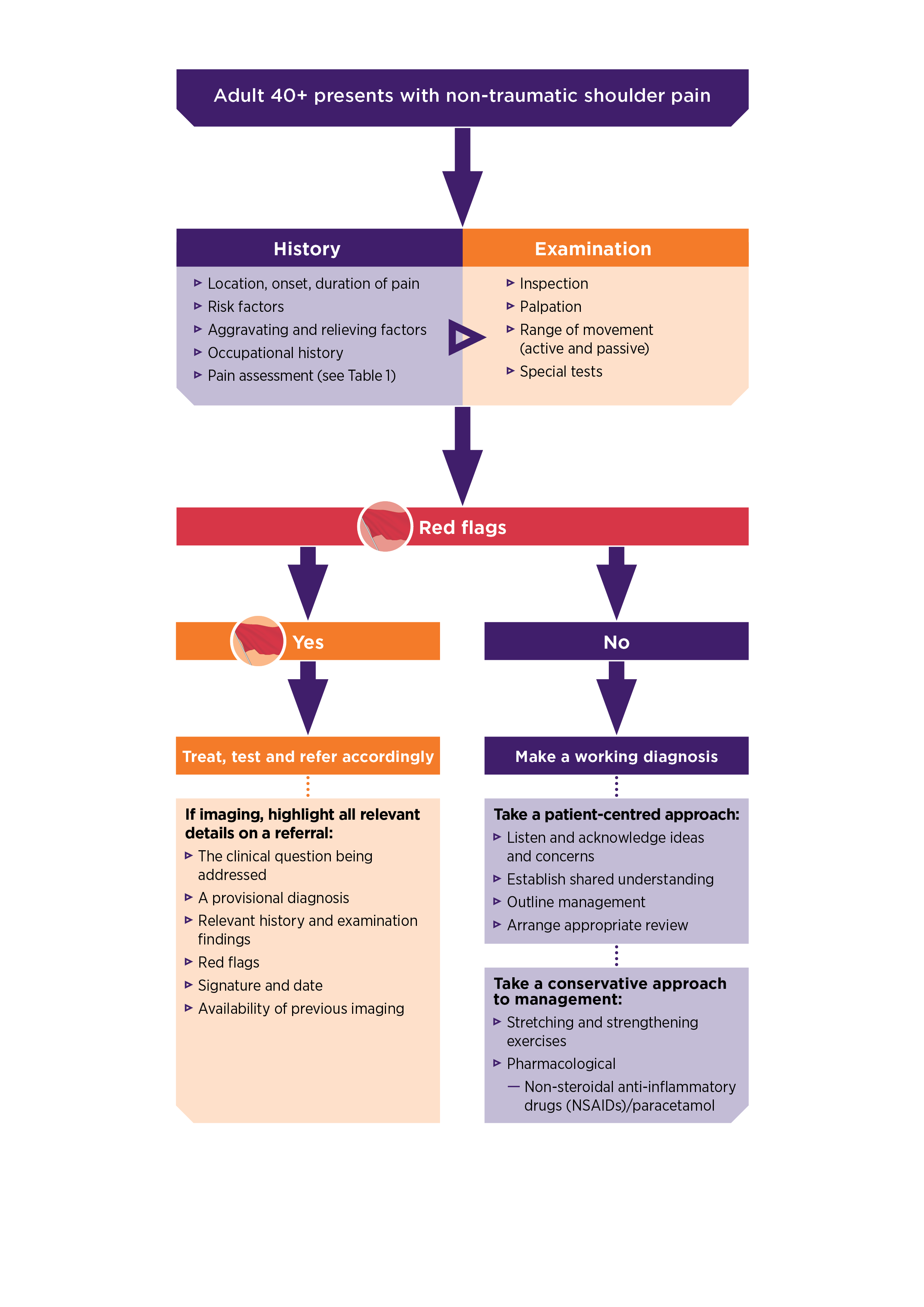 Shoulder imaging algorithm