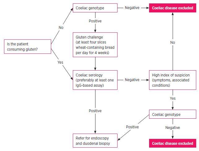 testing-for-coeliac-disease-australian-prescriber