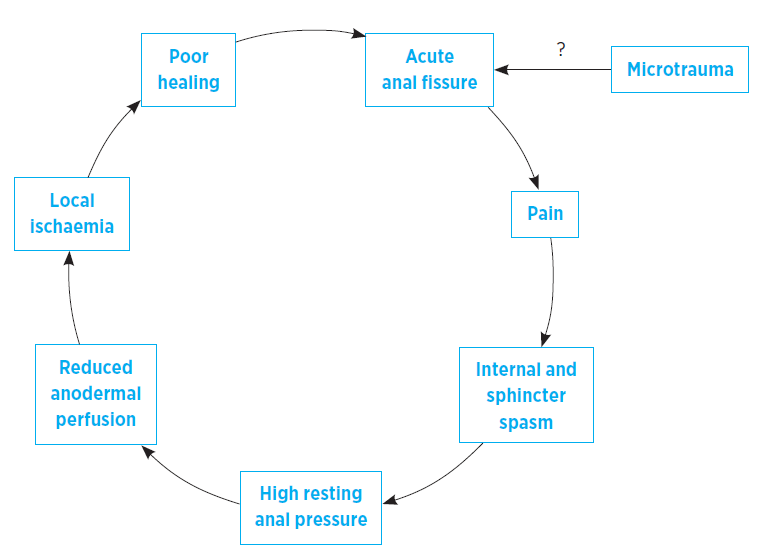 Fissure Diet Chart