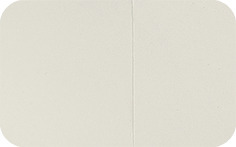 Estradot Patches 25 mcg/day