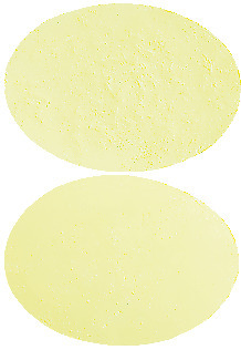 Wafesil 50 mg Wafers