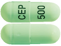 Cephalex 500 mg Capsules