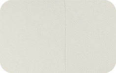 Estradot Patches 100 mcg/day