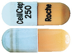 CellCept 250 mg