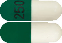 Cephalexin AN Capsules 250 mg