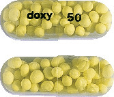 Mayne Pharma Doxycycline Capsules 50 mg