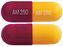 Amoxil 250 mg Capsules