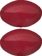 Isotretinoin AN 20 mg