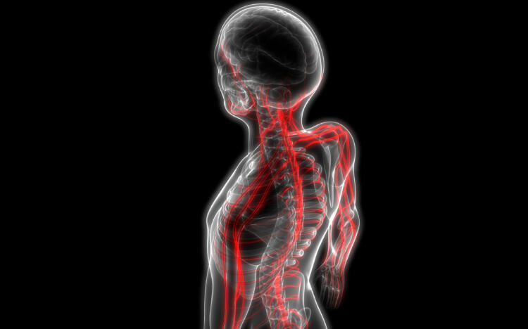 Pregabalin for nerve pain
