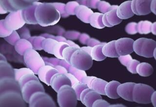 Antimicrobials: community-acquired pneumonia