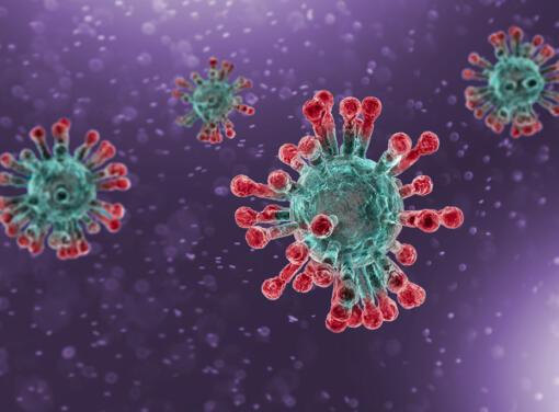 Corona Virus