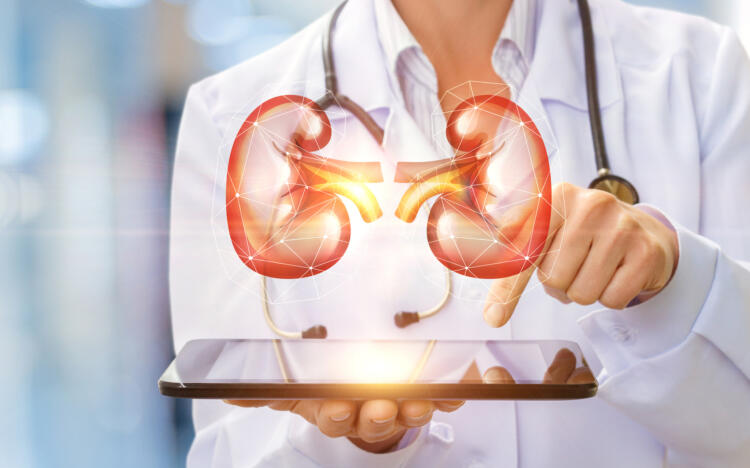 How do I know if my kidneys are healthy and why is it important?