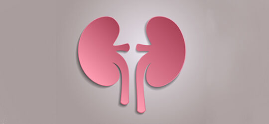 Getty Images-1131811063-Kidneys-adjusted