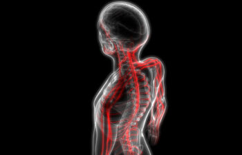 Getty Images-899727860