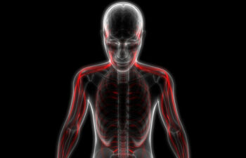 Getty Images-899727832